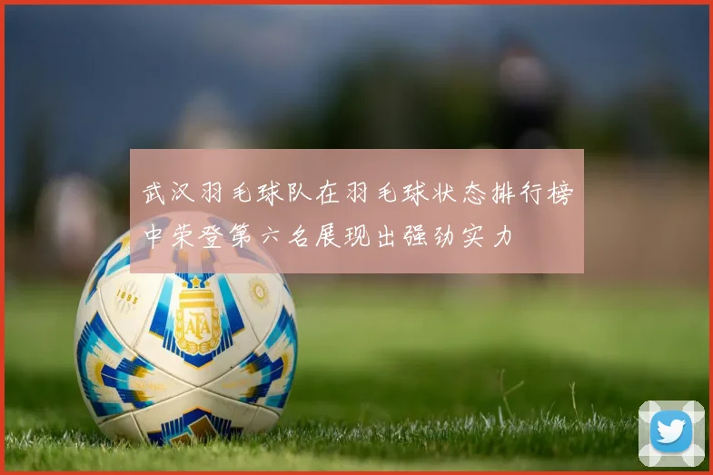武汉羽毛球队在羽毛球状态排行榜中荣登第六名展现出强劲实力